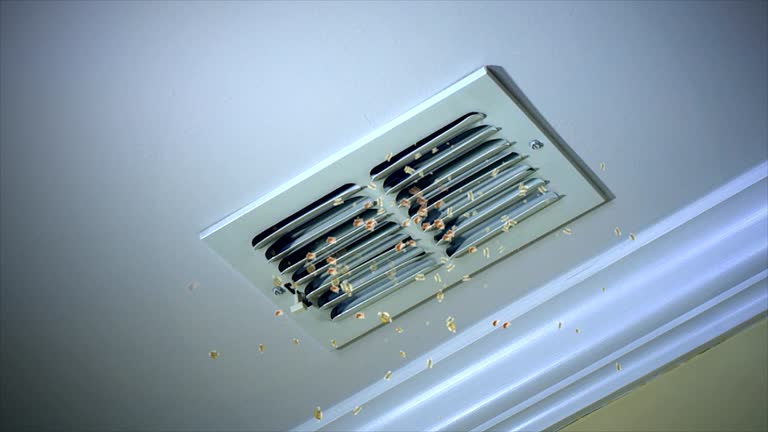 Best HVAC System Cleaning  in Highland, IN