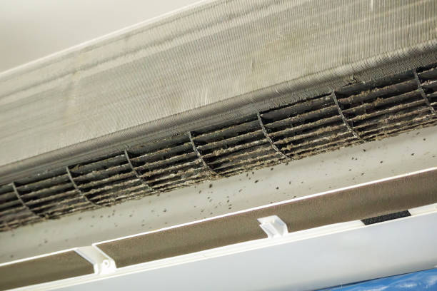 Best Affordable Duct Cleaning Services  in Highland, IN